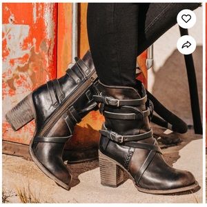 FreeBird (by Steve Madden) - Baker - Size 8